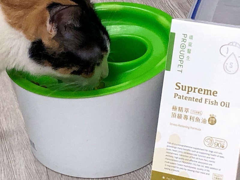試用